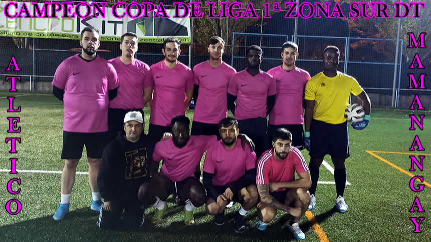 CAMPEON COPA DE LIGA ZONA SUR DOMINGO TARDE 1ª DIVISION
